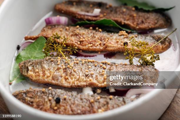 pickling herring in a dish. - pickled stock pictures, royalty-free photos & images