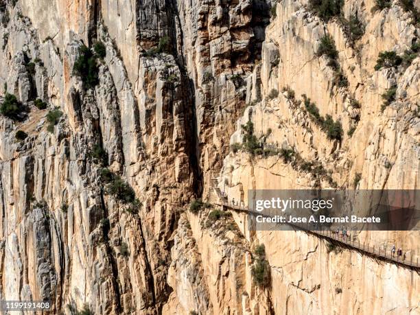 walkway and wooden bridges pinned along the steep walls of a narrow gorge in the nature. - caminito del rey fotografías e imágenes de stock