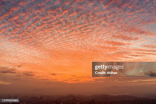 Pyrocumulus Cloud Photos and Premium High Res Pictures - Getty Images