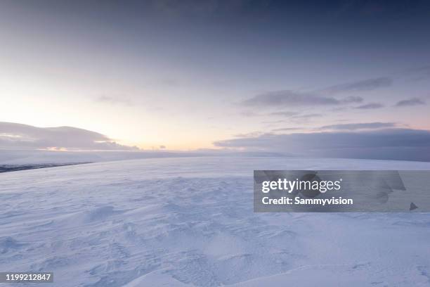 winter landscape in finland - snow hill stock pictures, royalty-free photos & images
