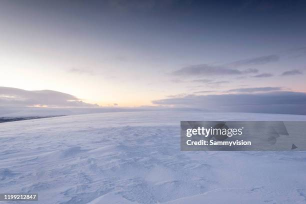 winter landscape in finland - polar climate 個照片及圖片檔