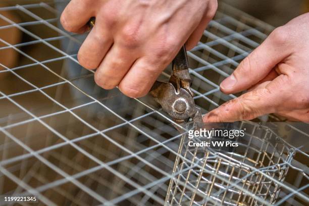 Man's hands uses wire cutter on crab pot while constructing, Dunkirk, MD.