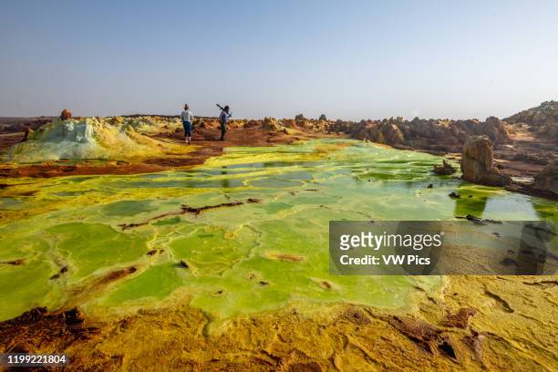 Dallol hydrothermal hot springs in the Danakil depression at the Afar Triangle, Ethiopia.