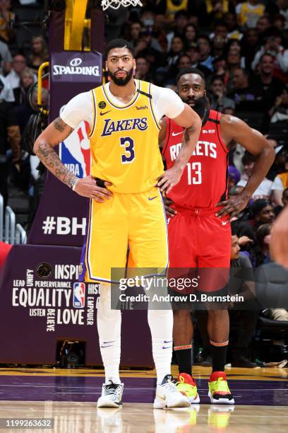 Anthony Davis of the Los Angeles Lakers and James Harden of the Houston Rockets look on during the game on February 6, 2020 at STAPLES Center in Los...