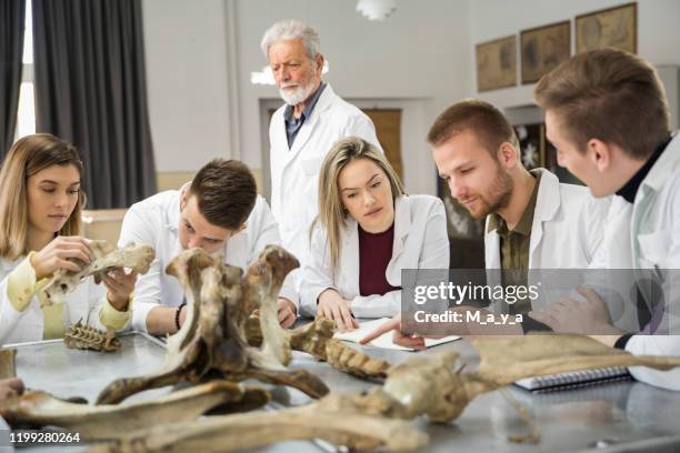 Vetinary Science Science 317 College Of Veterinary And Animal Sciences Stock Photos, High-Res ...