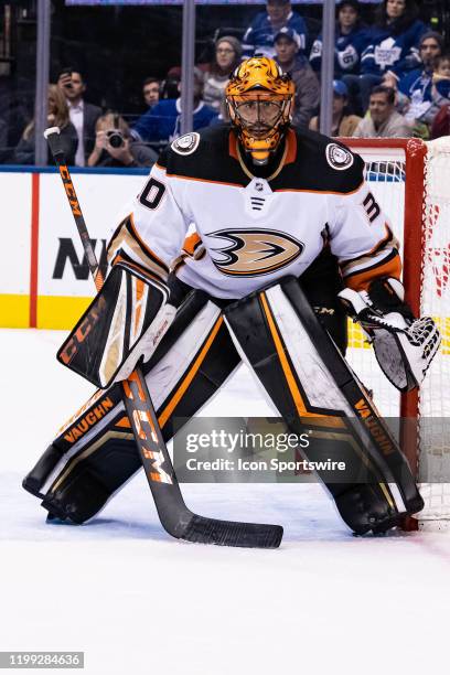 Anaheim Ducks Goalie Ryan Miller tends the net during the NHL regular season game between the Anaheim Ducks and the Toronto Maple Leafs on February 7...