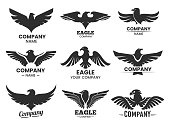 Set of Eagle or falcon black silhouettes