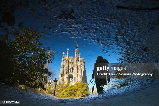 the sagrada familia of barcelona, spain - antoni gaudí stock pictures, royalty-free photos & images