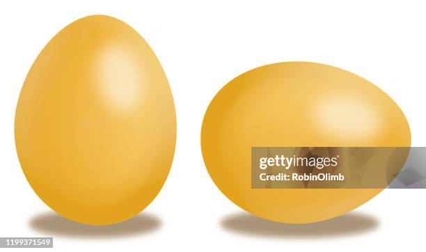 two gold eggs - boiled egg white background stock illustrations