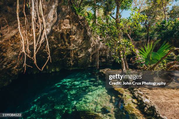 grand cenote - tulum stock pictures, royalty-free photos & images