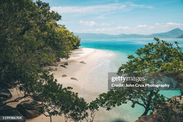 nudey beach fitzroy island - cairns australia fotografías e imágenes de stock
