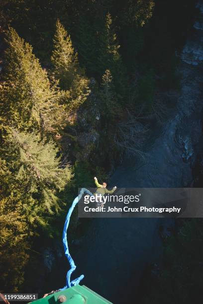 whistler bungee jump - bungee jump - fotografias e filmes do acervo