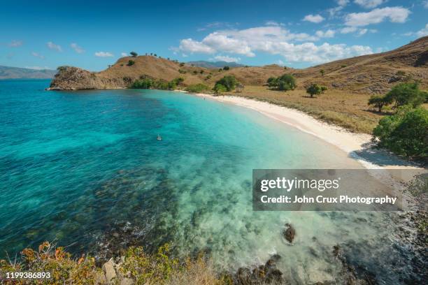 komodo pink beach - flores indonesia stock pictures, royalty-free photos & images