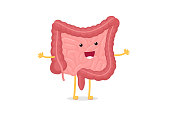 Cute cartoon healthy intestines smiley character. Abdominal cavity digestive and excretion human internal organ. Small and colon intestine with duodenum rectum and appendix vector illustration