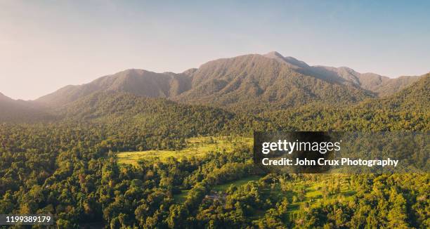 babinda queensland landscape - queensland rainforest stock pictures, royalty-free photos & images