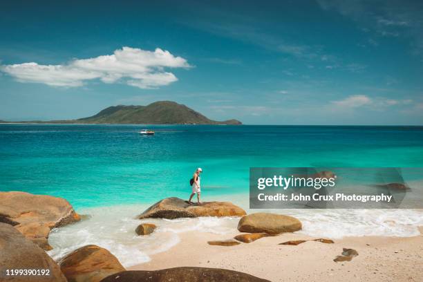 nudey beach backpackers - great barrier reef australia ストックフォトと画像