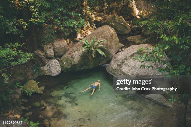 mossman gorge swimming tourist - cairns australië stockfoto's en -beelden