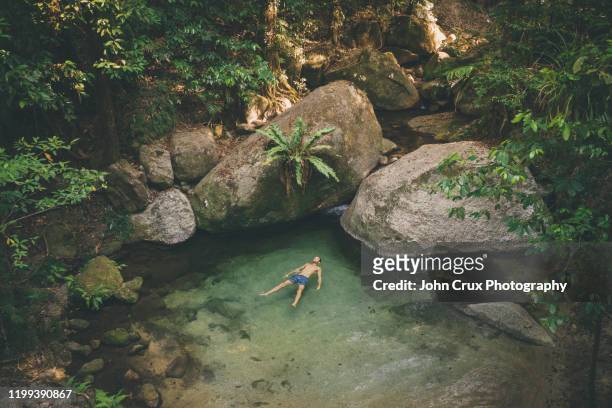 mossman gorge swimming tourist - queensland stock pictures, royalty-free photos & images