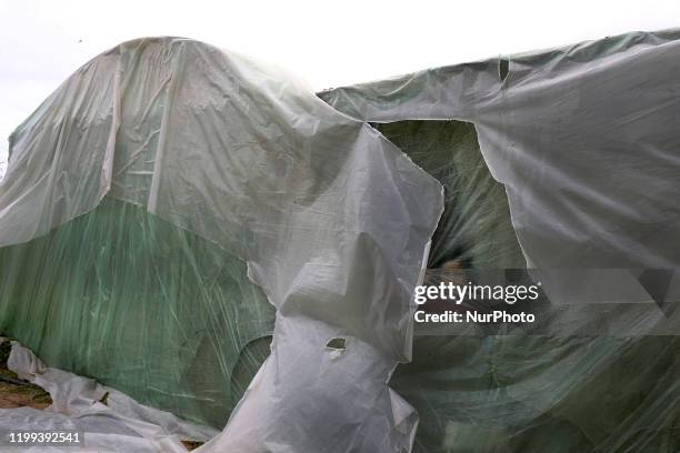 Palestinian girl watching the rain from behind nylon sheets covering her family tent, on a rainy day in al-Amal neighbourhood of Beit Lahia in the...