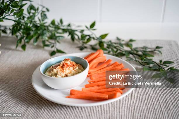 plate of hummus accompanied by carrot - carrot fotografías e imágenes de stock