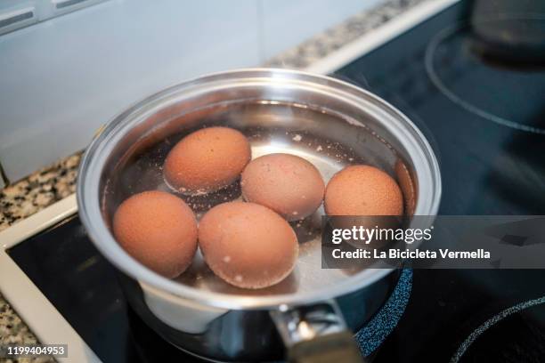 boiled eggs in a saucepan on ceramic hob - 沸騰する ストックフォトと画像