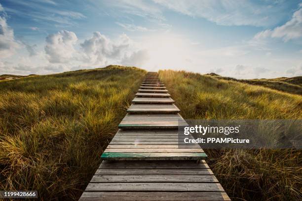 weg durch die dünen - boardwalk stock-fotos und bilder