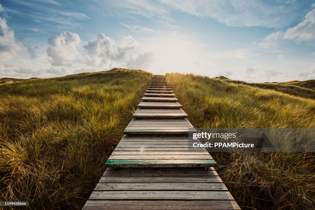 Way through the dunes