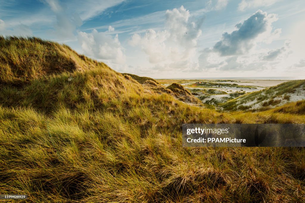 Küstenlandschaft Insel Amrum