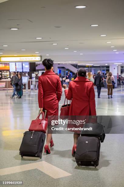 stewardesses with suitcases in an airport terminal - john f kennedy airport stock pictures, royalty-free photos & images