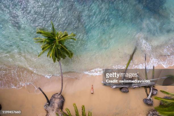 drohnenansicht der frau, die sich am goldenen sandstrand entspannt - costa rica stock-fotos und bilder