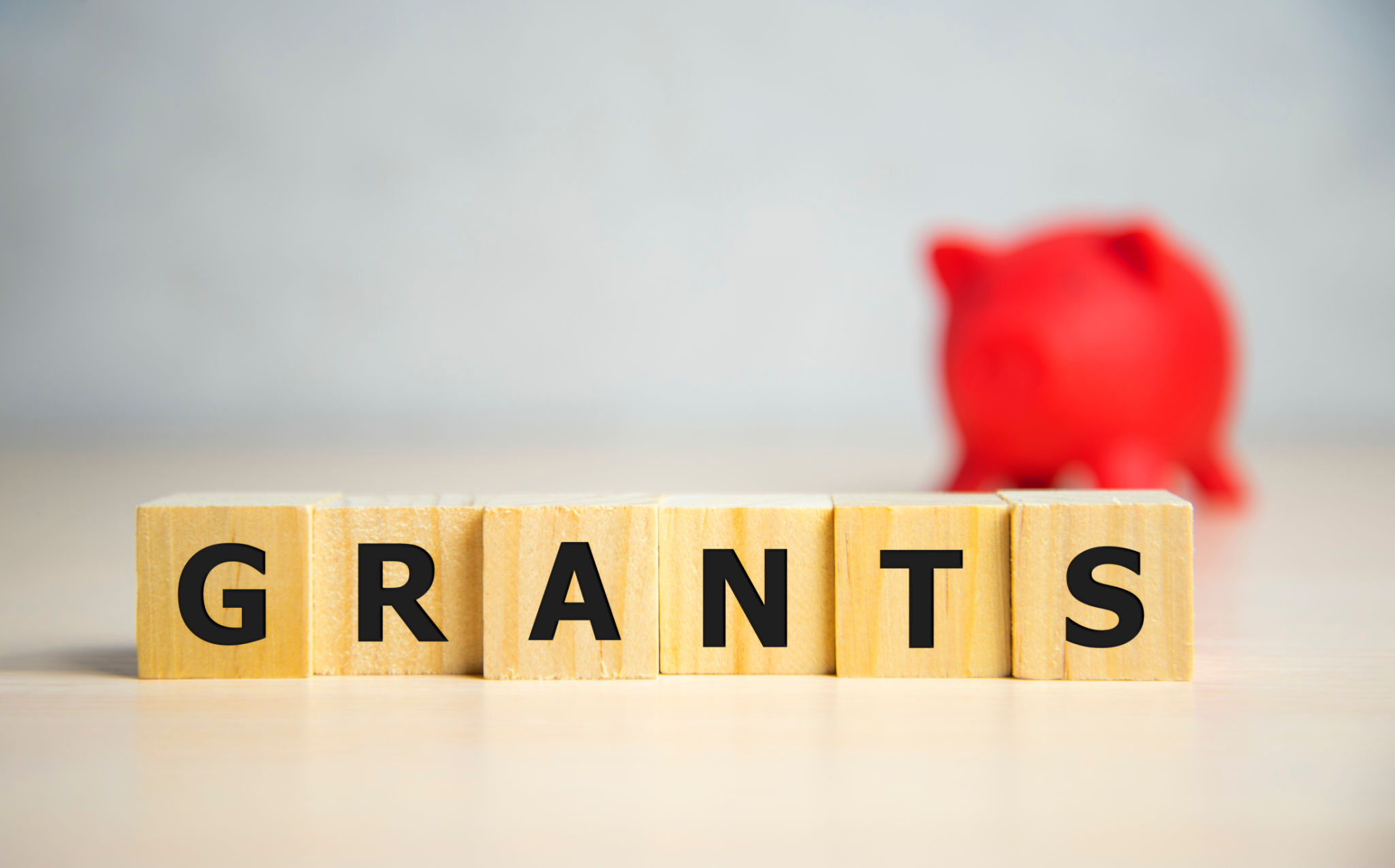 nonprofit education grants
