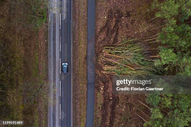 An aerial photograph shows deforested roadsides on February 07, 2020 in Saarmund, Germany.