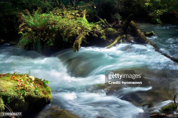 a stream of water flowing on the surface of river bank. - fließendes gewässer stock-fotos und bilder
