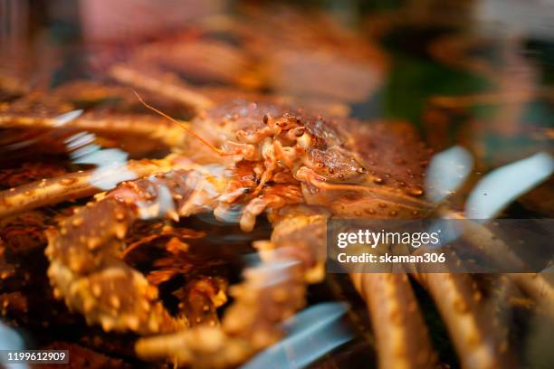 Japanese Crab Spider Photos and Premium High Res Pictures - Getty Images