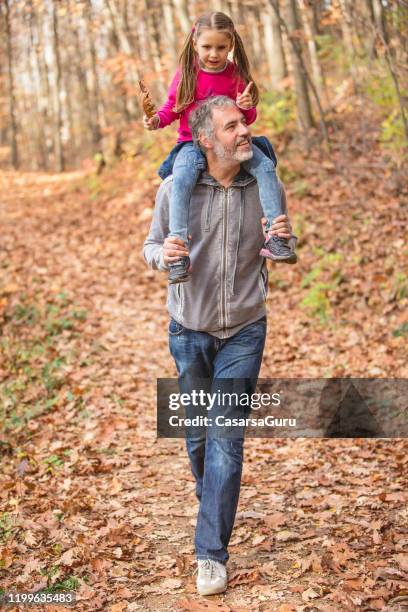padre llevando a su hija en los hombros y explorando el bosque de otoño - foto de stock - mirar alrededor fotografías e imágenes de stock