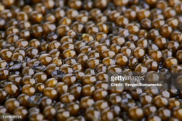 black caviar background. full frame shot of black caviar texture as a background - sturgeon fish stock pictures, royalty-free photos & images