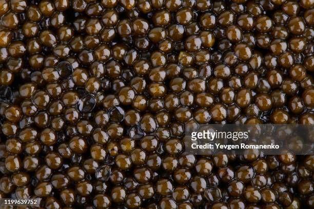 black caviar background. full frame shot of black caviar texture as a background - caviar stock pictures, royalty-free photos & images