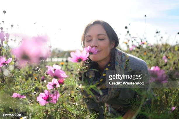 portrait of women smelling on wild flower, flower meadow - smell stockfoto's en -beelden