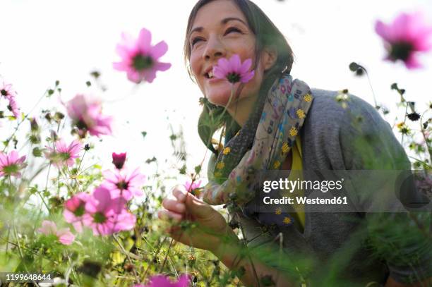 portrait of women smelling on wild flower, flower meadow - frau blumenwiese stock-fotos und bilder