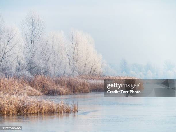 winter landscape of the frozen pond and rime ice on the trees - winter landscape fotografías e imágenes de stock