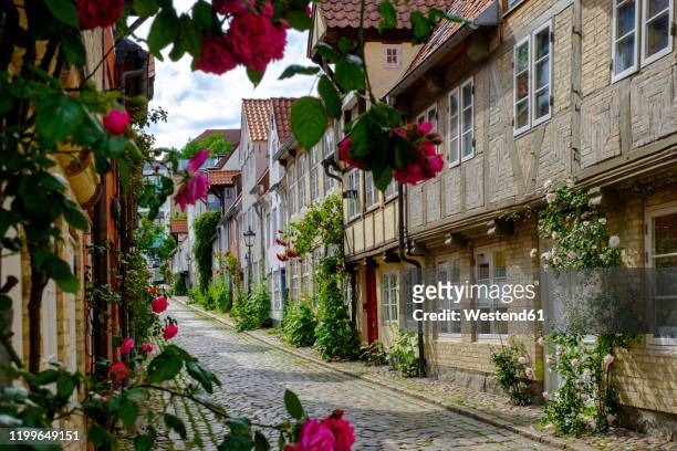 germany, schleswig-holstein, flensburg, oluf-samson-gang - alley with fishermen†houses - flensburg stock pictures, royalty-free photos & images
