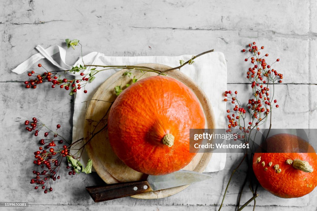 Red kuri squashes†(Cucurbita maxima), rose hips, kitchen knife, napkin and wooden plate