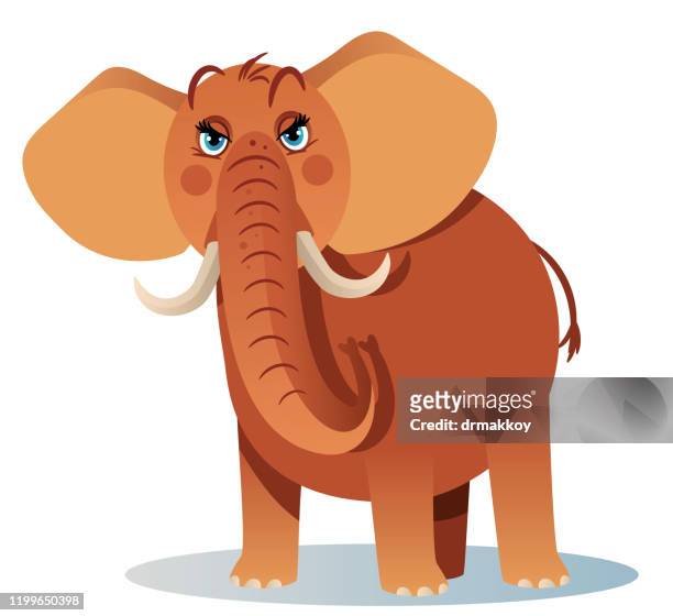 elephant - animals in the wild stock illustrations