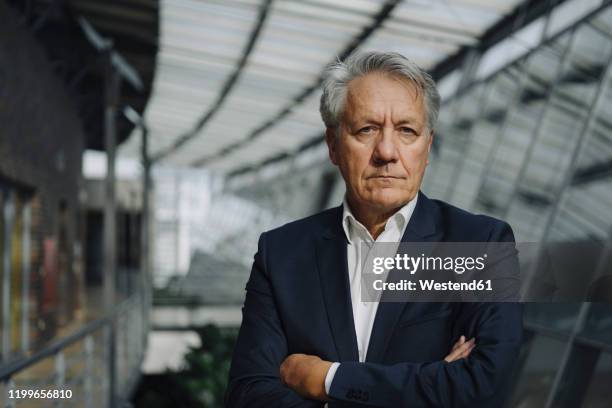 portrait of a serious senior businessman in office - senior executives stock-fotos und bilder