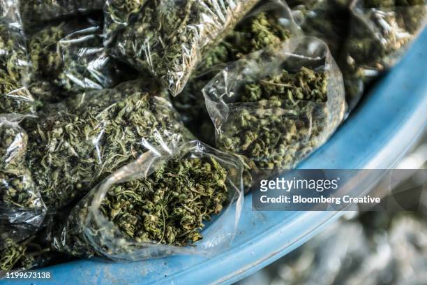 packets of cannabis - maseru stock pictures, royalty-free photos & images