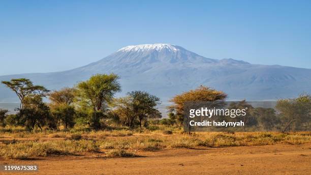 view of mount kilimanjaro, southern kenya, africa - kilimanjaro stock pictures, royalty-free photos & images