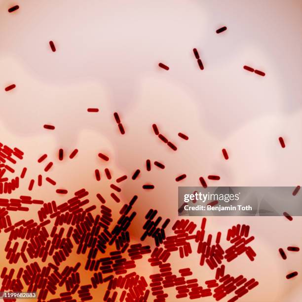 bacteria under microscope - bacillus cereus stock illustrations