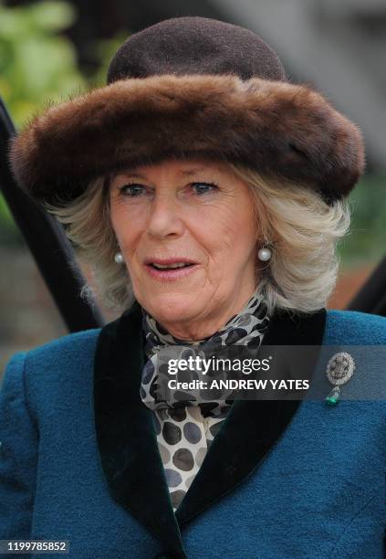 Britain's Camilla, Duchess of Cornwall, arrives for 'Ladies Day' at the Cheltenham Horse Racing Festival in Gloucestershire, western England, on...