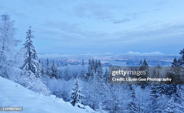 lions gate bridge and downtown vancouver in winter with snow, viewed from cypress mountain - vancouver lions gate stock pictures, royalty-free photos & images