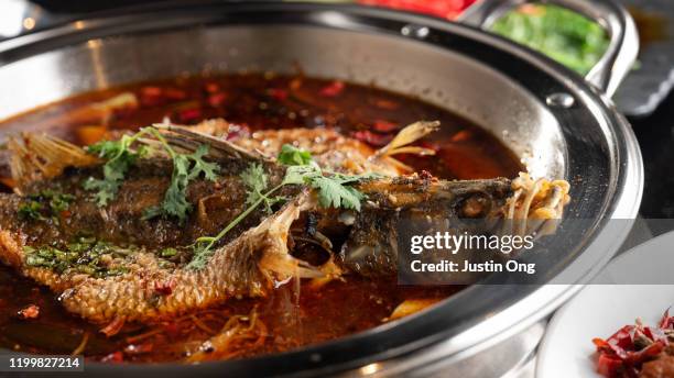 spicy whole fish cooked in hotpot with ingredients - spicy fish szechuan stock-fotos und bilder